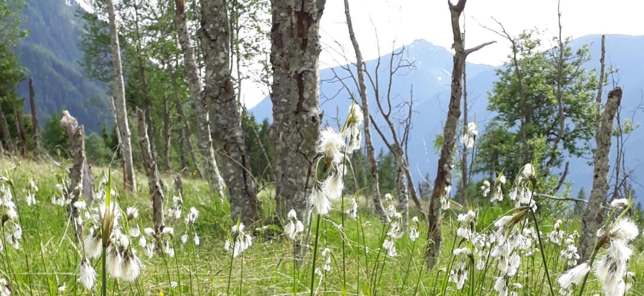 Willa Unterreinischhof Anterselva di Mezzo Zewnętrze zdjęcie