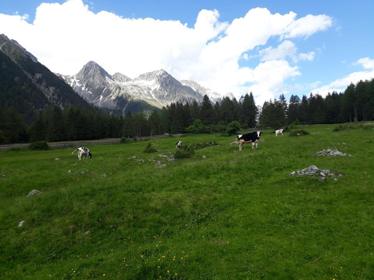 Willa Unterreinischhof Anterselva di Mezzo Zewnętrze zdjęcie