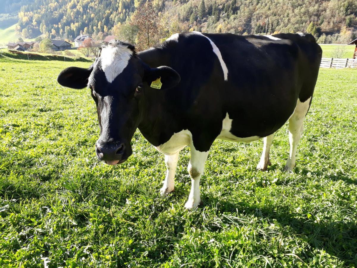 Willa Unterreinischhof Anterselva di Mezzo Zewnętrze zdjęcie